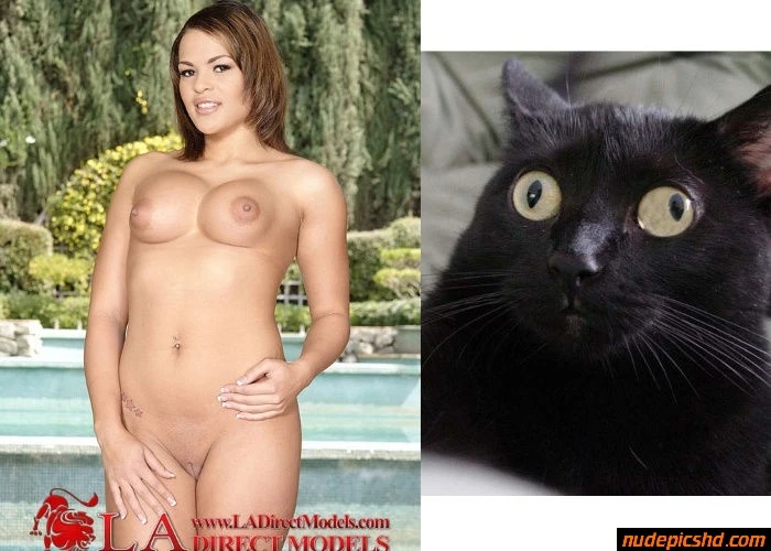 Cateyes