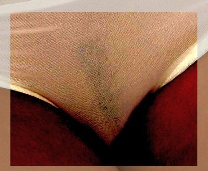 Leilani Dowding See Through Panties