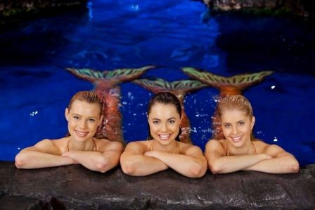Mako Mermaids An H2o Adventure